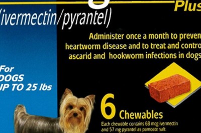 Buy Heartgard Plus For Dogs ** VETERANS DAY SALE **