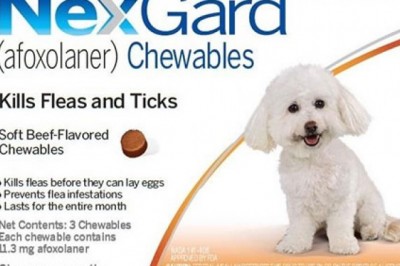Buy Nexgard For Dogs ** VETERANS DAY SALE **