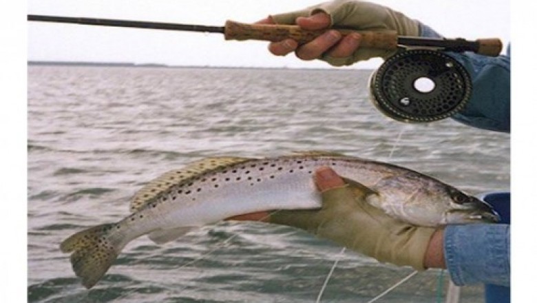 Ultimate Guide To The Fly Fishing Must Haves