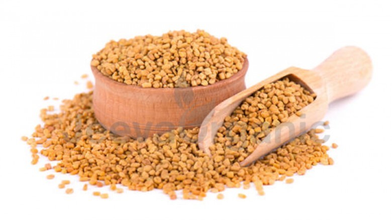 Fenugreek Powder
