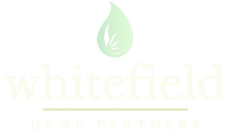 Hemp Farming Ideas for People Wanting to Start Business