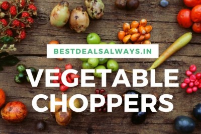 Top 4 Best vegetable chopper