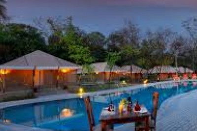 Ziplining In Punjab (Adventurous)