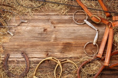 Guide to select the best western saddlery