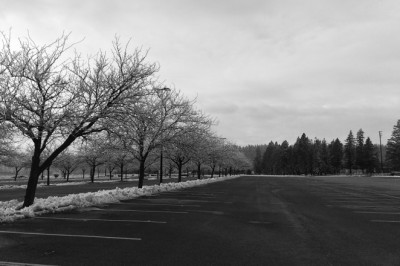 Tips To Winterize And Take Care Of Your Parking Lot