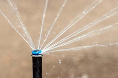 Simply How Much Watering Must I H2o My Grass?