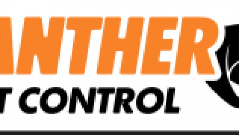 Pest Control Wembley