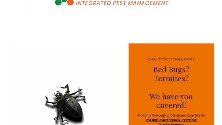 Termites Solutions Indianapolis