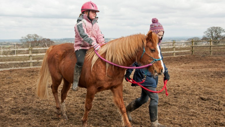 Things To Do In Roseville CA