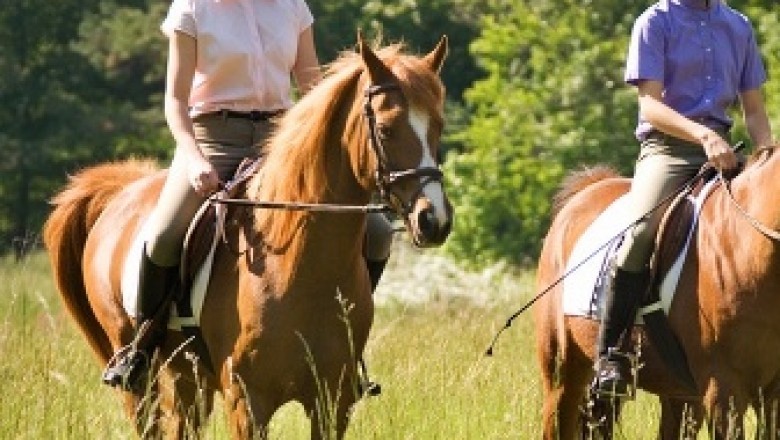 Why Horse Riding Is definitely an Awesome Adventure