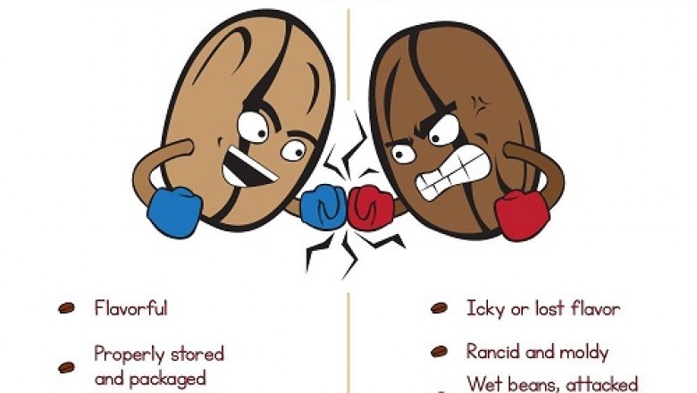 Increase your knowlege about coffee
