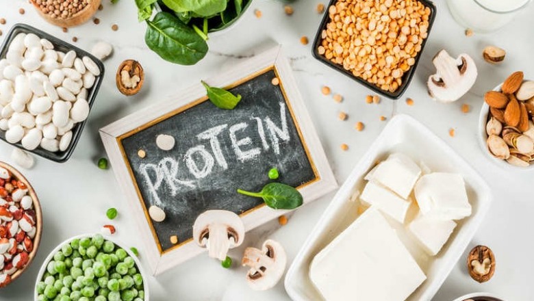 Plant Proteins Market Size
