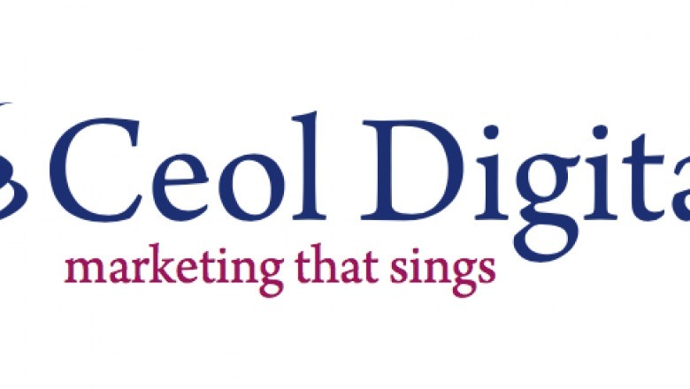 Should really You Use an SEO Agency for your Business?