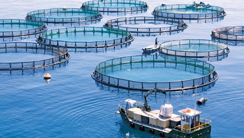 Aquaculture Market Global Size, Growth and Demand 2020 to 2030