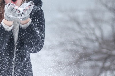 The Top Designs for Winter