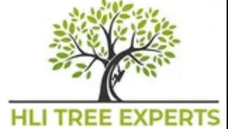 Tree Service Removal Pasadena & Tree Trimming