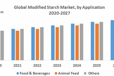 Global Modified Starch Market