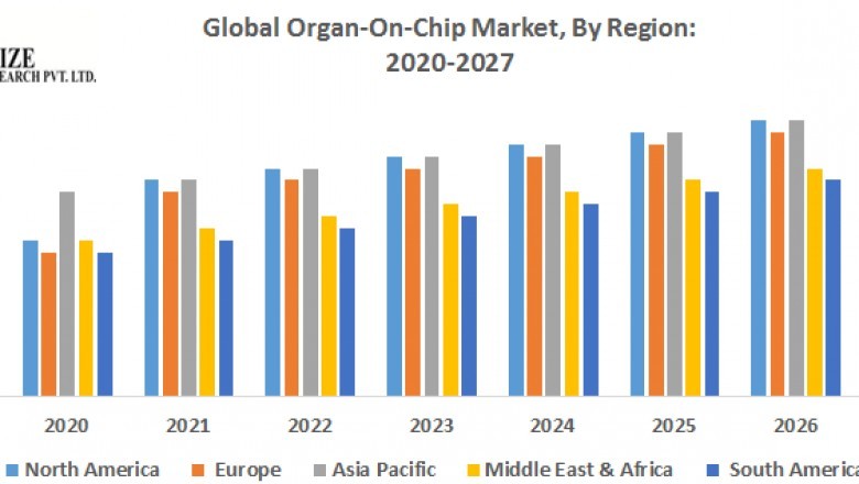 Global Organ-On-Chip Market – Industry Analysis and Forecast