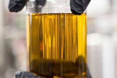 A BEGINNER’S GUIDE TO CBD DISTILLATE