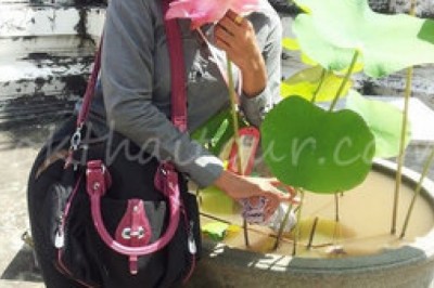 Day Tours in Bangkok- A Lifetime Experience