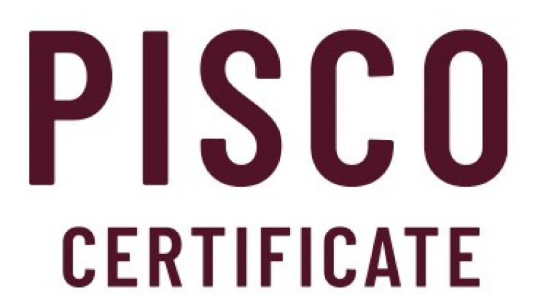 Pisco Logía