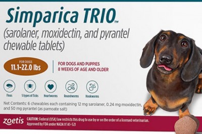 Simparica TRIO For Dogs 11.1-22 Lbs (Caramel) (3 CHEWS)