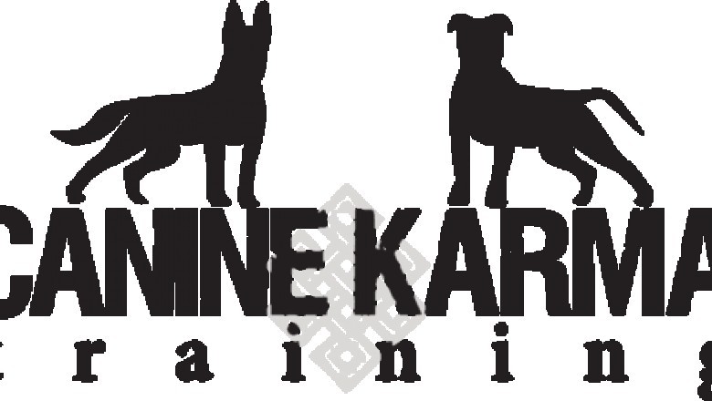 Dog Training Classes Long Island