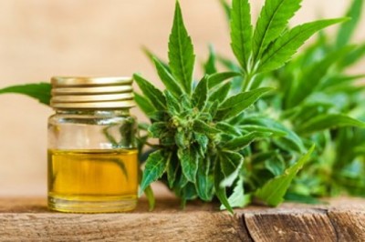 Groheline CBD Oil