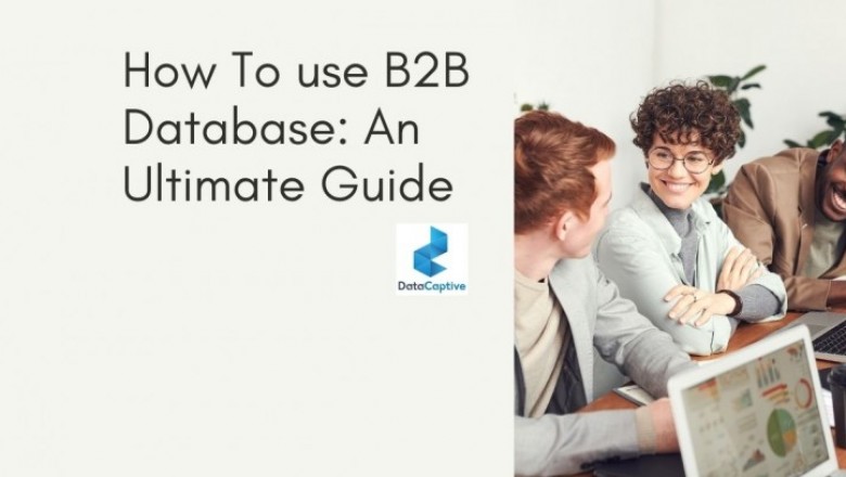 Guide to Use B2B Database