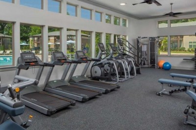 There Is No Shame in Asking for Fitness Help | Genesis Performance & Fitness Systems