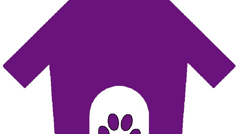 Buy yorkie puppies for sale, Buy ragdoll kittens for sale, Buy American quarter horses for sale, AND THE Buy Best cbd tinctures online