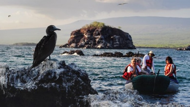 Why to Select Ecuador as Your Next Holiday Destination?