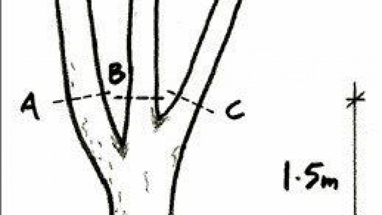 Boroondara Tree Works Permit | ArborCraft Tree Services Melbourne, VIC