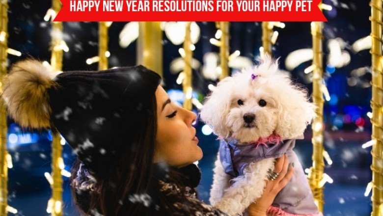New Year Resolutions 2021 for Pet