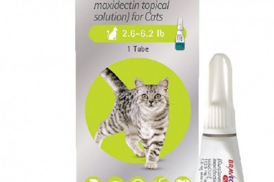 Bravecto Plus for Cats - Flea, Tick, and Heartworm Spot-on Preventative for Cats