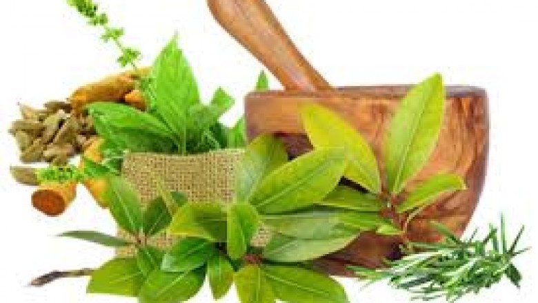 Why Do You Need Homeopathy Medicine for Menstrual Disorder?