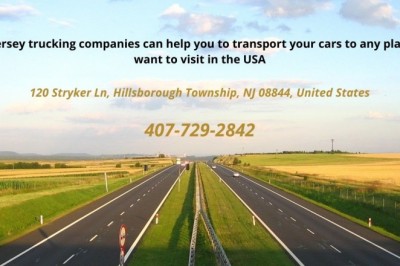 Cheap Car Shipping Carrier