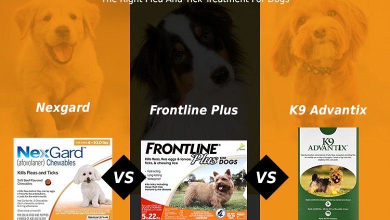 Choosing The Right Flea And Tick Treatment For Dogs
