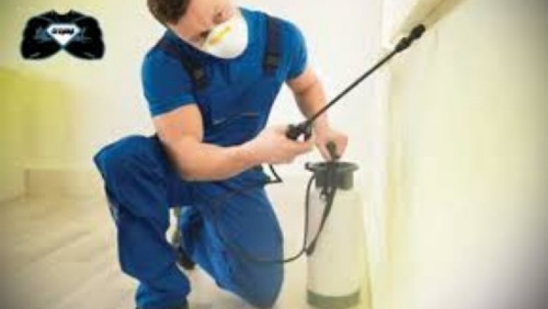 no more mistakes with An insect control company in Riyadh