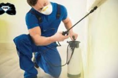 no more mistakes with An insect control company in Riyadh