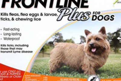 FRONTLINE Plus Flea & Tick for dogs