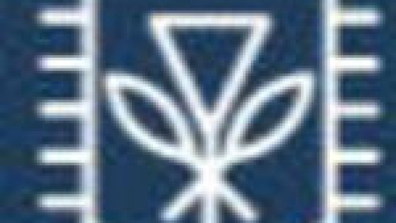 Men Tropical Jewelry