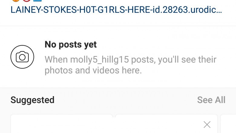 Fake Instagram Account Generator
