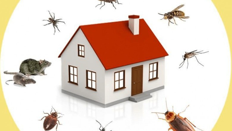 Pest Control Market Global Demand, Supply and Research Synopsis 2020 to 2030