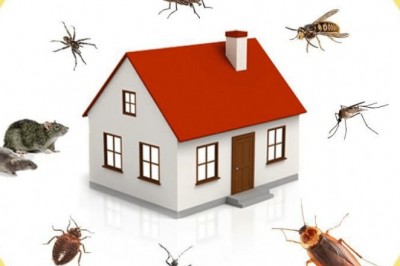 Pest Control Market Global Demand, Supply and Research Synopsis 2020 to 2030
