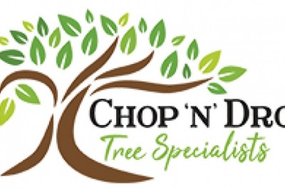 Arborist Newcastle - Newcastle