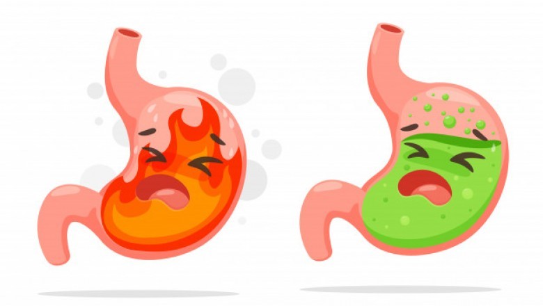 Increasing Prevalence of Gastrointestinal Tract Disease to Bring Bright Opportunities to the Market of Gastrointestinal Stents