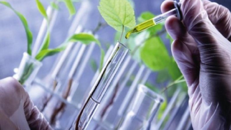 Ongoing trend of go-green is boosting sale of renewable chemicals