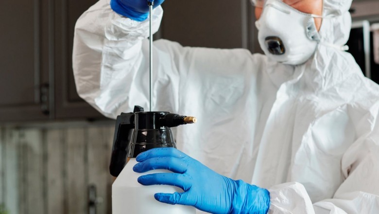 Hiring The Services Of Pest Control Companies