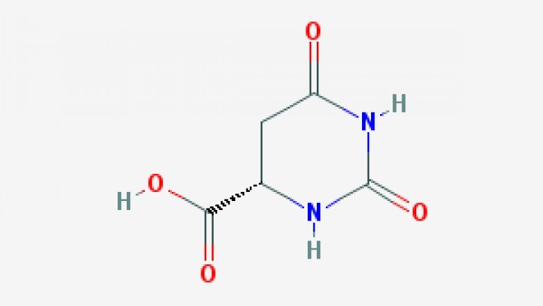 chemical companies supply chain difference